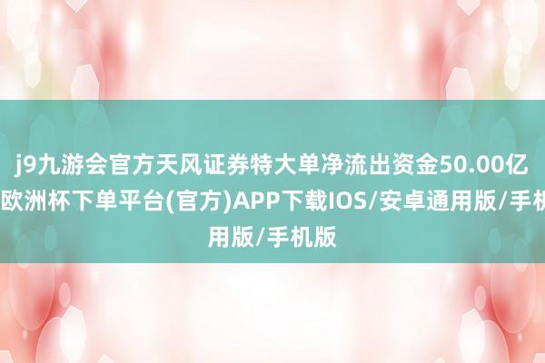 j9九游会官方天风证券特大单净流出资金50.00亿元-欧洲杯下单平台(官方)APP下载IOS/安卓通用版/手机版