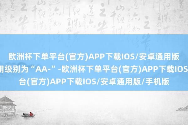 欧洲杯下单平台(官方)APP下载IOS/安卓通用版/手机版芯能转债信用级别为“AA-”-欧洲杯下单平台(官方)APP下载IOS/安卓通用版/手机版