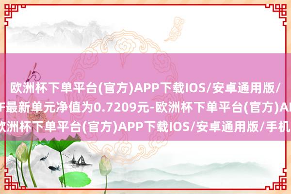 欧洲杯下单平台(官方)APP下载IOS/安卓通用版/手机版广发中证传媒ETF最新单元净值为0.7209元-欧洲杯下单平台(官方)APP下载IOS/安卓通用版/手机版