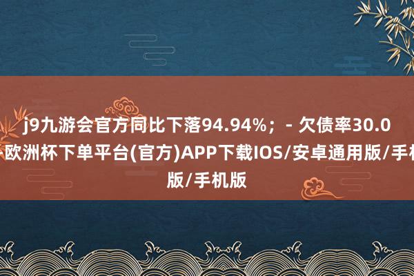 j9九游会官方同比下落94.94%；- 欠债率30.09%-欧洲杯下单平台(官方)APP下载IOS/安卓通用版/手机版