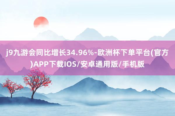 j9九游会同比增长34.96%-欧洲杯下单平台(官方)APP下载IOS/安卓通用版/手机版