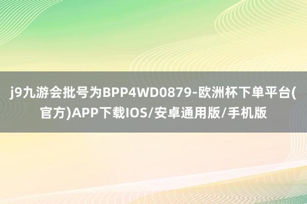 j9九游会批号为BPP4WD0879-欧洲杯下单平台(官方)APP下载IOS/安卓通用版/手机版