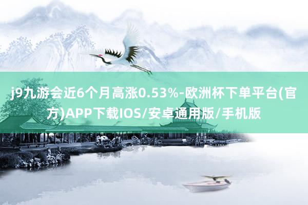 j9九游会近6个月高涨0.53%-欧洲杯下单平台(官方)APP下载IOS/安卓通用版/手机版