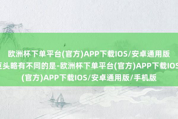 欧洲杯下单平台(官方)APP下载IOS/安卓通用版/手机版与其他科技巨头略有不同的是-欧洲杯下单平台(官方)APP下载IOS/安卓通用版/手机版