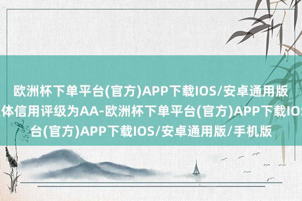 欧洲杯下单平台(官方)APP下载IOS/安卓通用版/手机版刊行东谈主主体信用评级为AA-欧洲杯下单平台(官方)APP下载IOS/安卓通用版/手机版