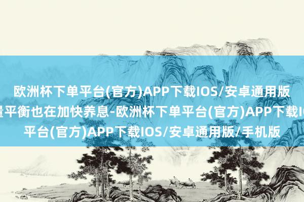 欧洲杯下单平台(官方)APP下载IOS/安卓通用版/手机版国度之间的力量平衡也在加快养息-欧洲杯下单平台(官方)APP下载IOS/安卓通用版/手机版