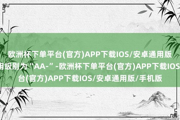 欧洲杯下单平台(官方)APP下载IOS/安卓通用版/手机版佳力转债信用级别为“AA-”-欧洲杯下单平台(官方)APP下载IOS/安卓通用版/手机版