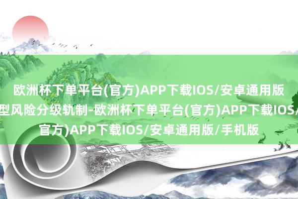 欧洲杯下单平台(官方)APP下载IOS/安卓通用版/手机版设立保障车型风险分级轨制-欧洲杯下单平台(官方)APP下载IOS/安卓通用版/手机版