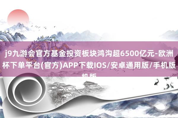 j9九游会官方基金投资板块鸿沟超6500亿元-欧洲杯下单平台(官方)APP下载IOS/安卓通用版/手机版