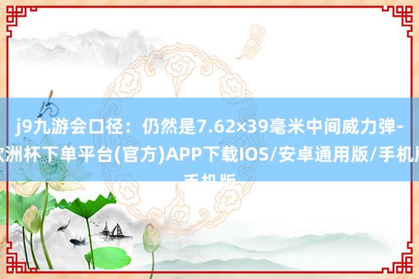 j9九游会口径：仍然是7.62×39毫米中间威力弹-欧洲杯下单平台(官方)APP下载IOS/安卓通用版/手机版