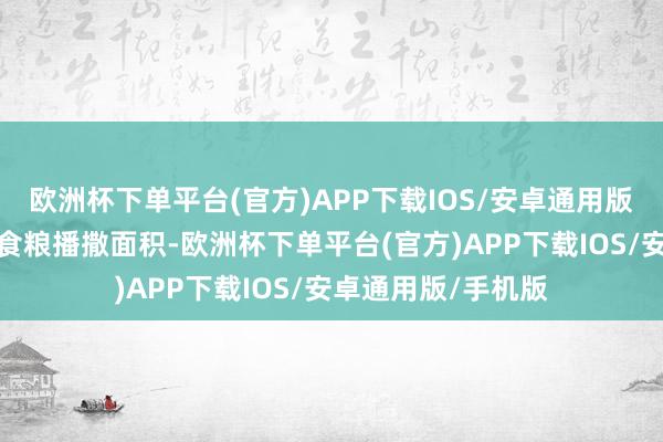 欧洲杯下单平台(官方)APP下载IOS/安卓通用版/手机版建议褂讪食粮播撒面积-欧洲杯下单平台(官方)APP下载IOS/安卓通用版/手机版