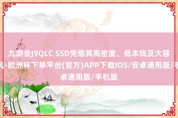 九游会J9QLC SSD凭借其高密度、低本钱及大容量上风-欧洲杯下单平台(官方)APP下载IOS/安卓通用版/手机版